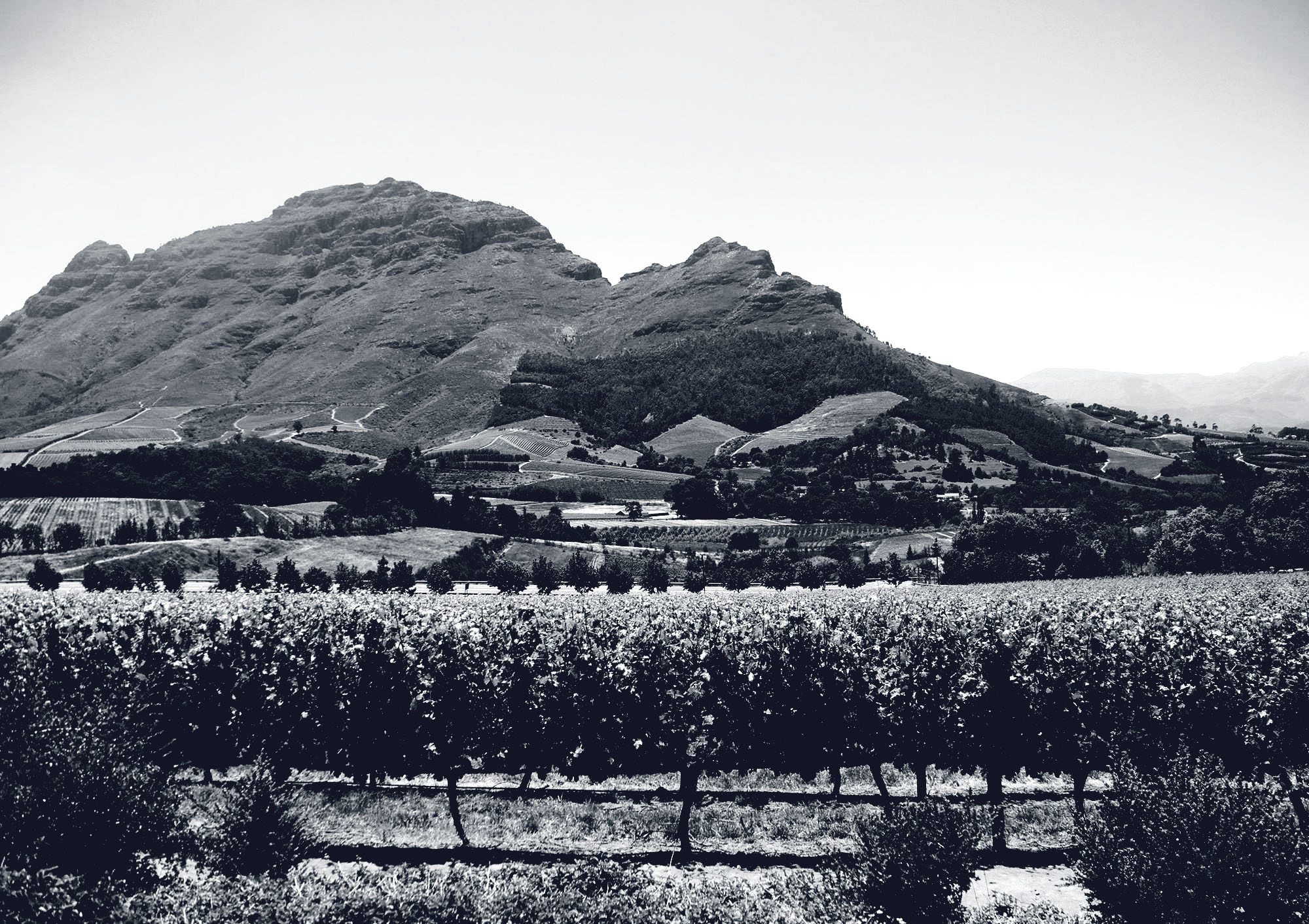 0003_CapeClassics